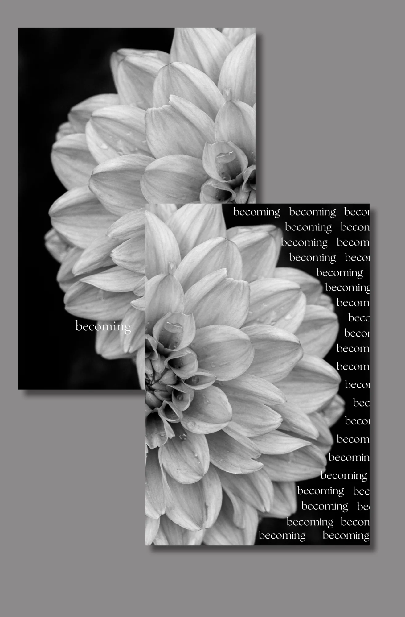 Becoming Dashboard - Image 2