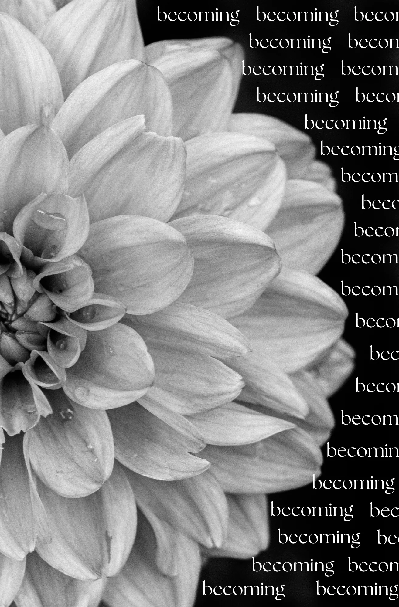 Becoming Dashboard - Image 3