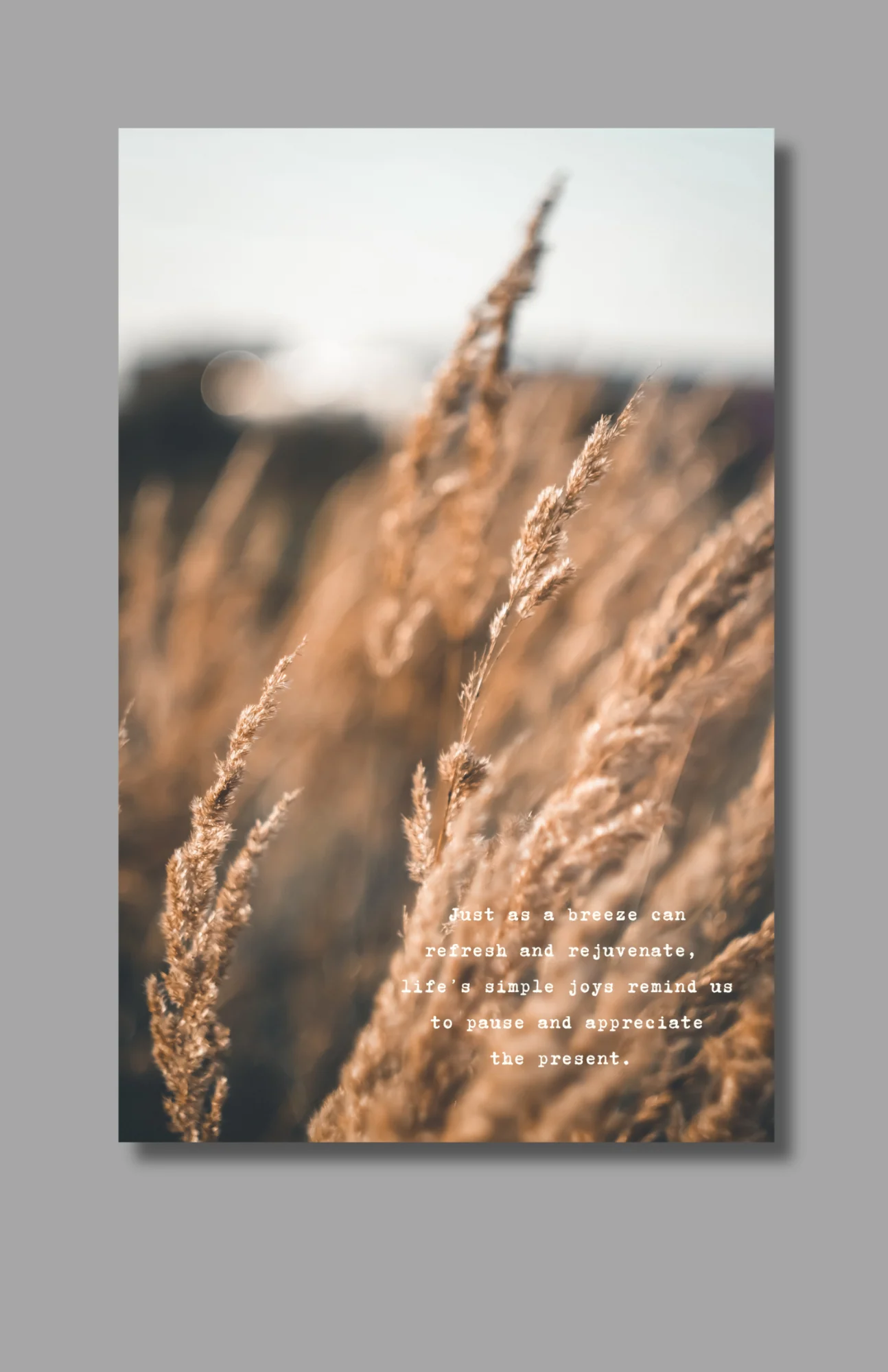 Life's Simple Joys  Dashboard (The Archive) - Image 3